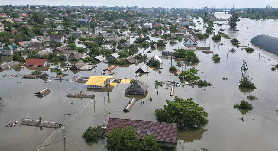 1169 image for slide