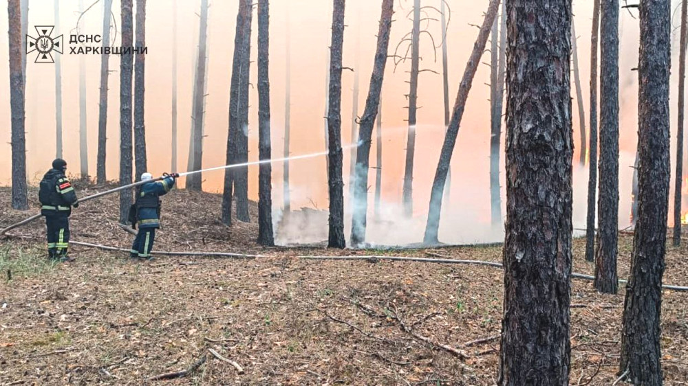 2442 image for slide