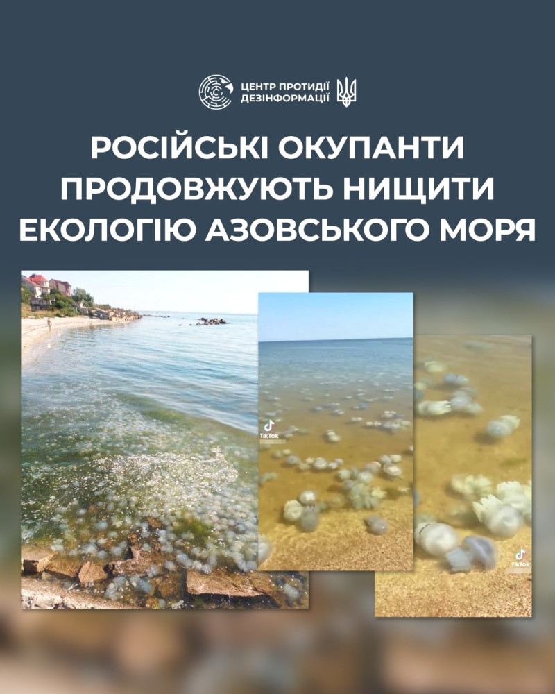 3429 image for slide