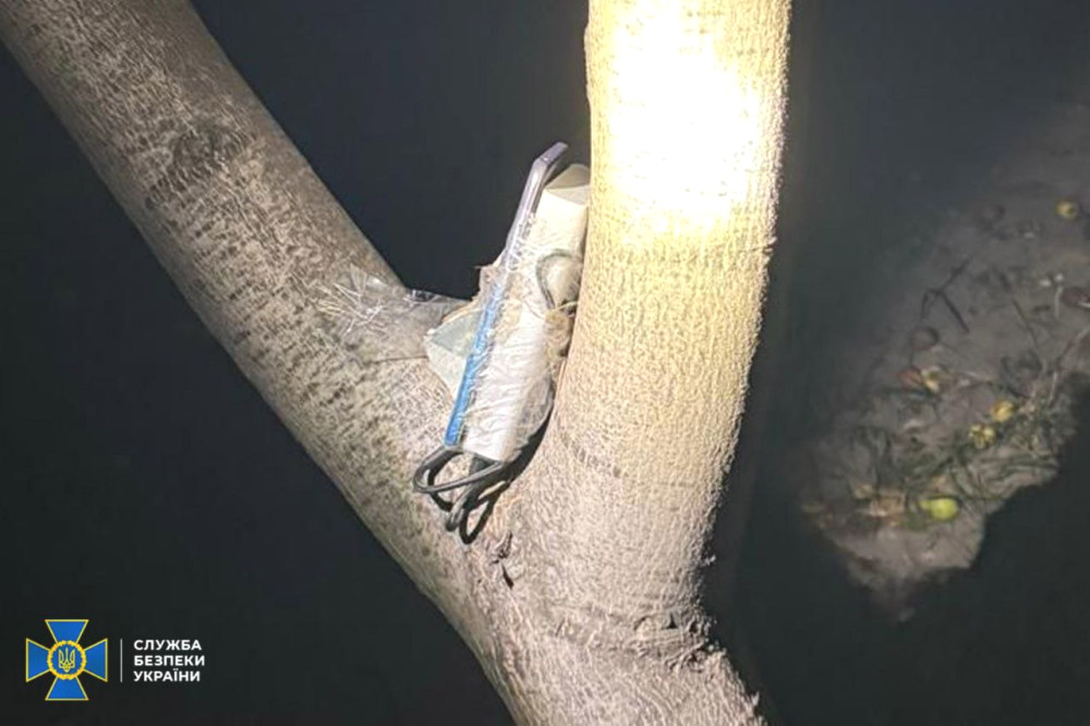 4223 image for slide