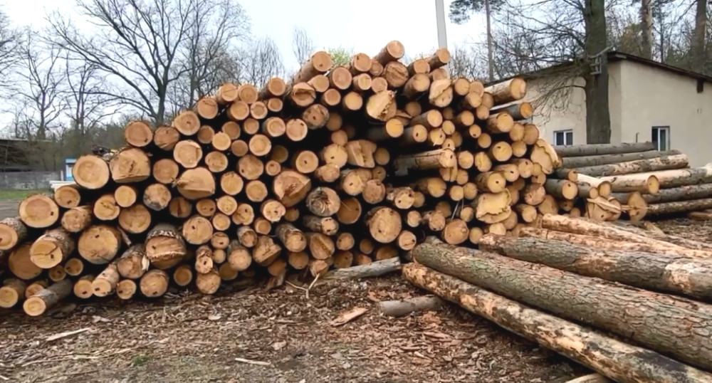 6386 image for slide