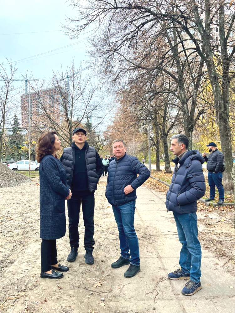 6562 image for slide